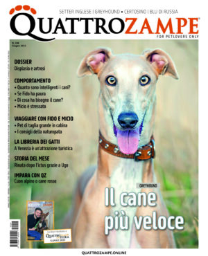 Quattrozampe – giugno 2025