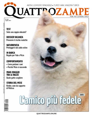 Quattrozampe – luglio 2025