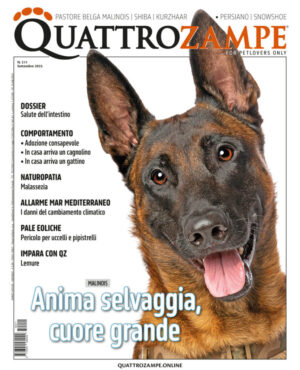 Quattrozampe - settembre 2025