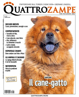 Quattrozampe - ottobre 2025
