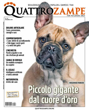 Quattrozampe - novembre 2025