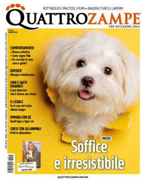 Quattrozampe - Aprile 2026