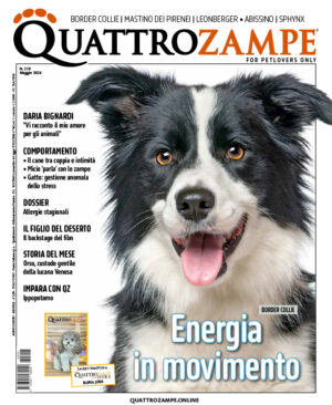 Quattrozampe - Maggio 2026